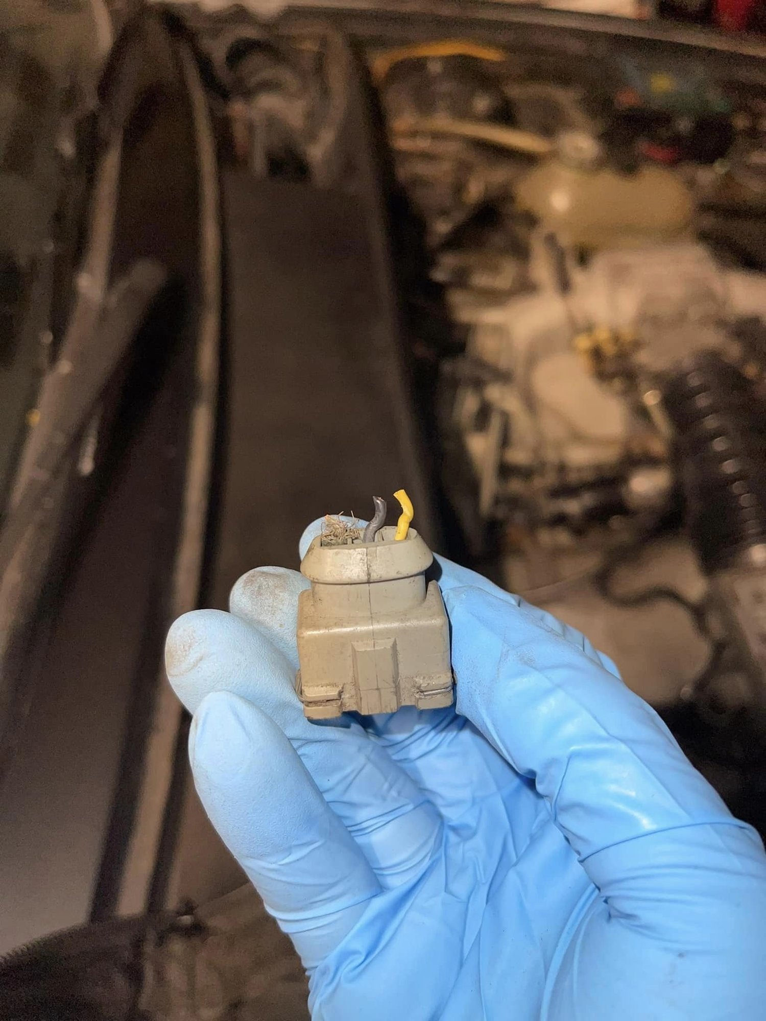 Harness Repair Service